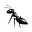 enantiomer's avatar