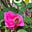 Lulu's avatar