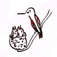 Hummingbird Hatchling's avatar