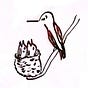 Hummingbird Hatchling's avatar
