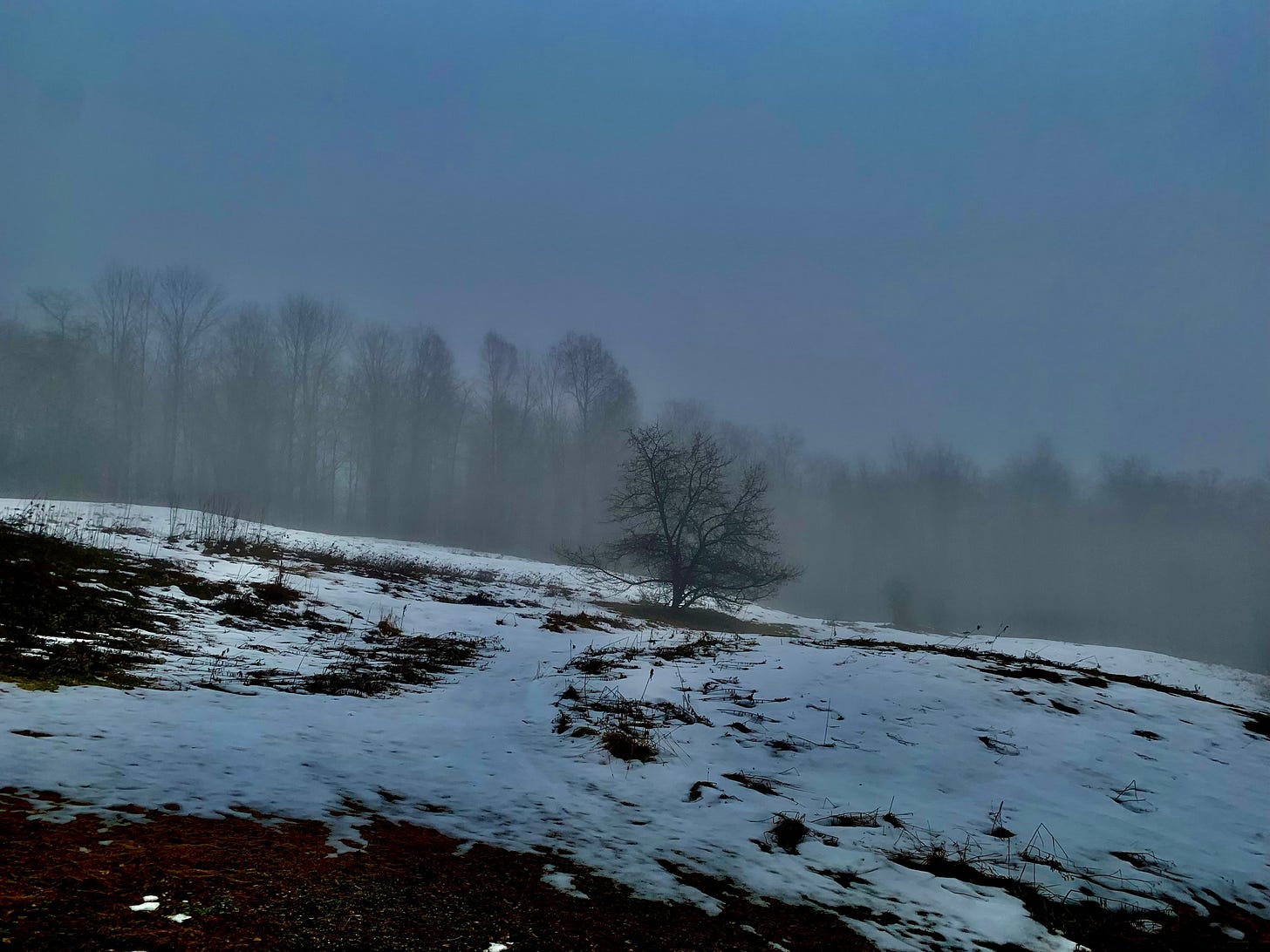 No photo description available. No photo description available.