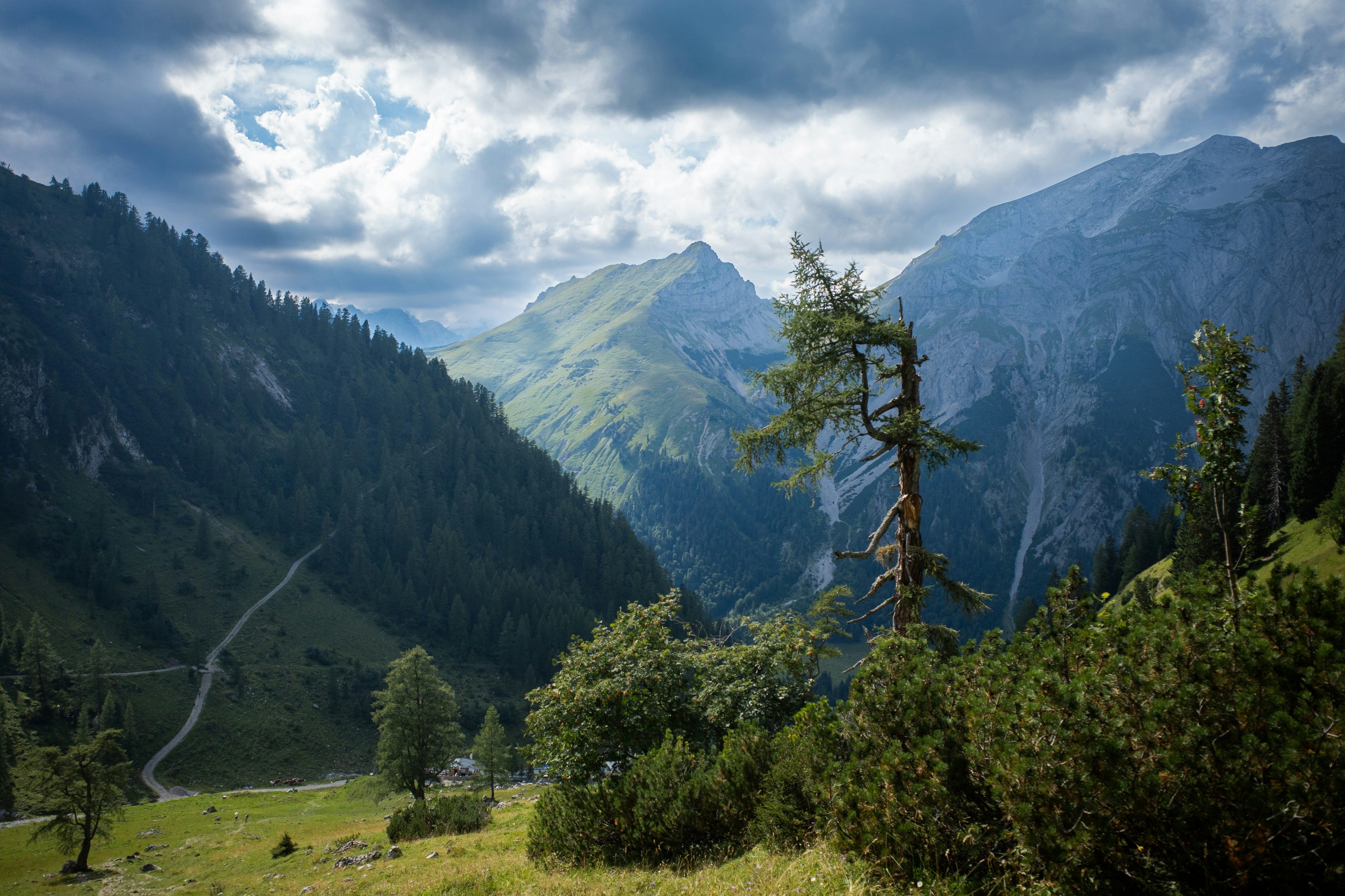 Climate, Nature, Economy: This Week's Regeneration in the Headlines