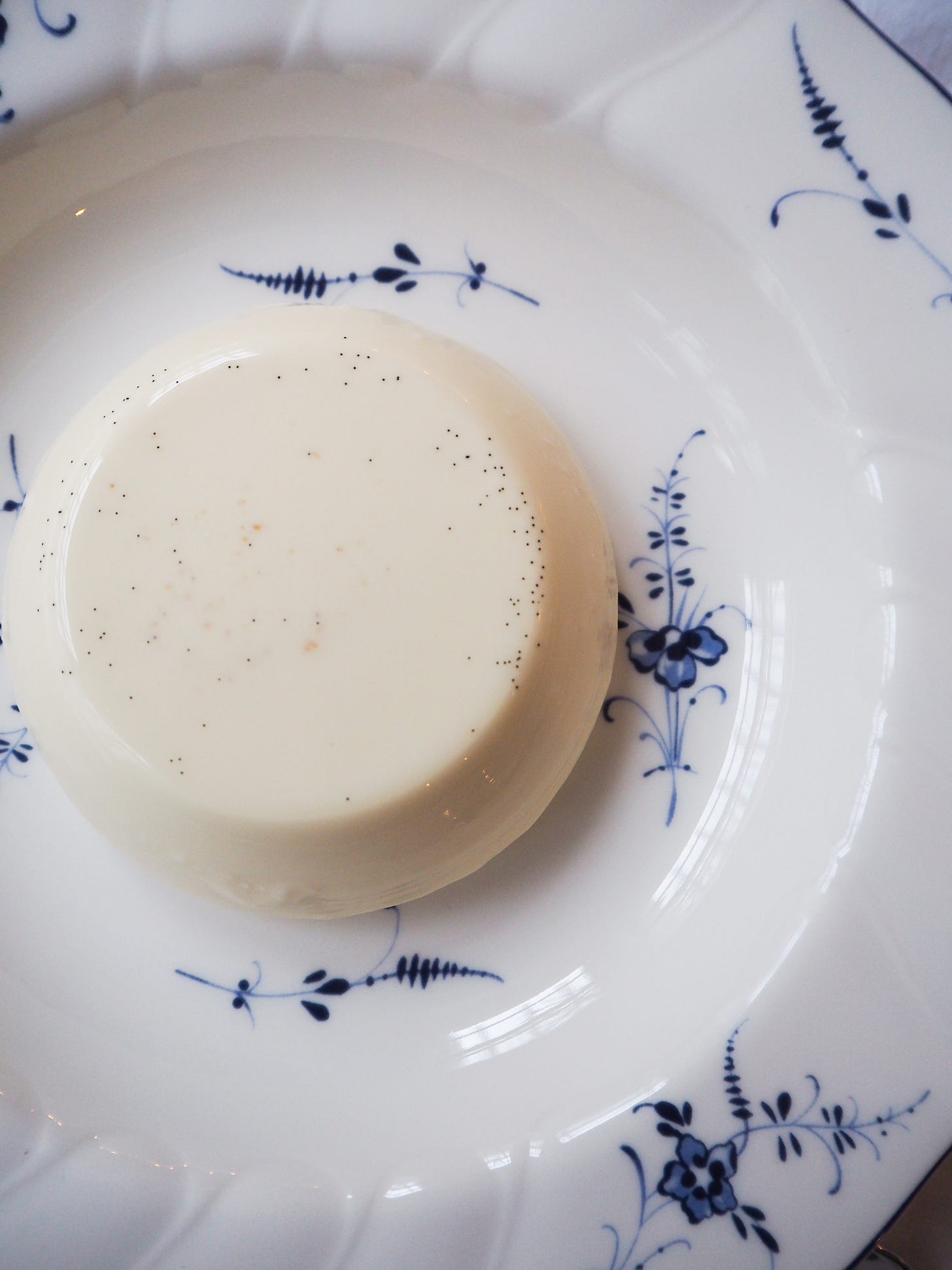 Vanilla Panacotta