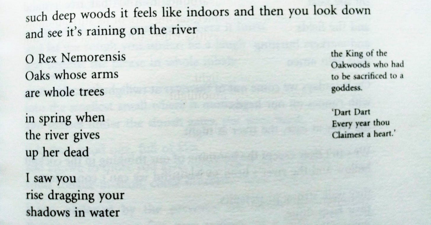 A snapshot of the interior of the book "Dart" showing poem verses on the left and notes in a smaller font along the margin on the right