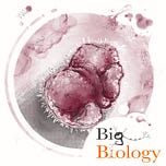 Big Biology