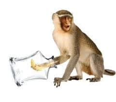 Are we in a monkey trap?