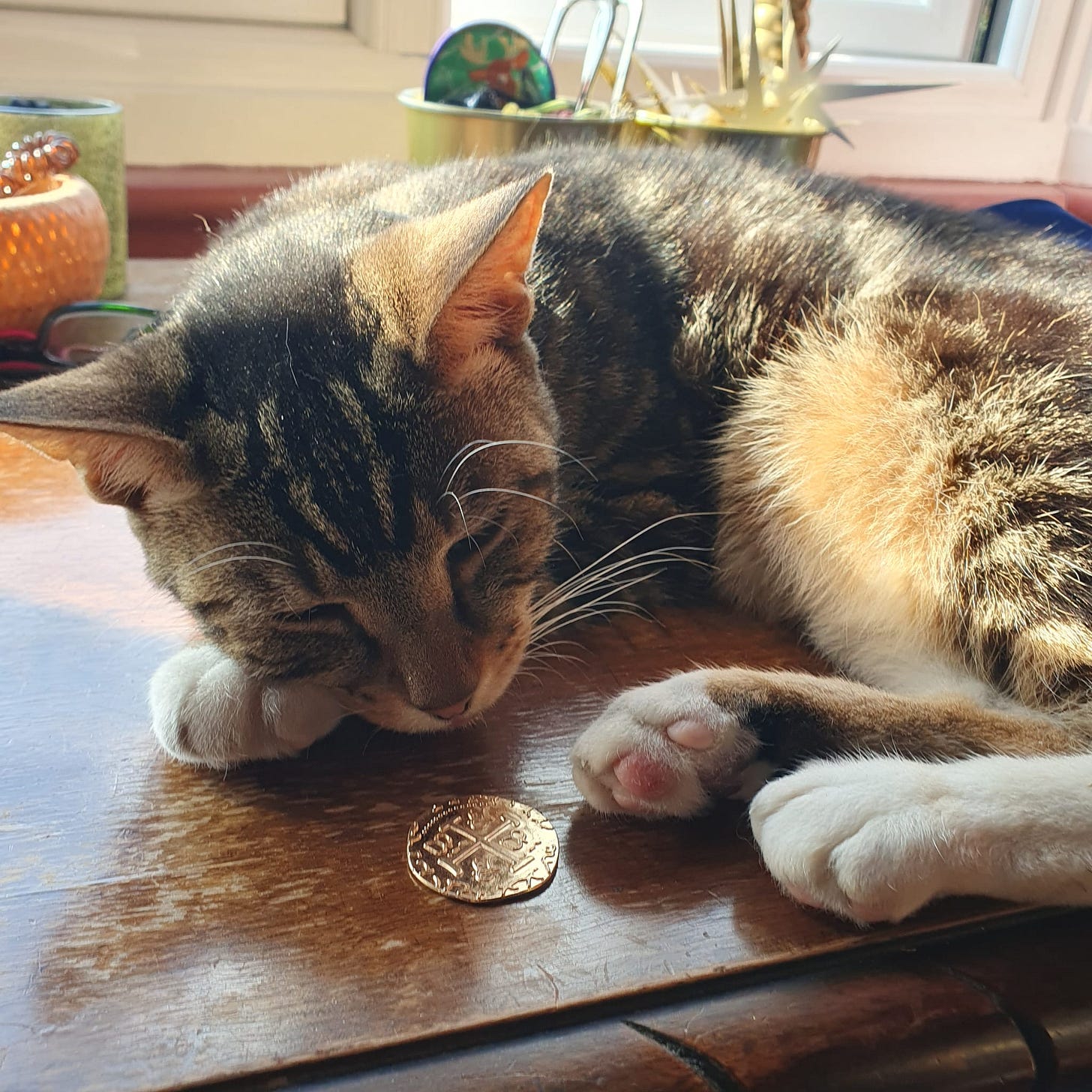A tabby-and-white cat sleeps in sunlight on a wooden table, with a small gold-coloured coin beside its paws. A tabby-and-white cat sleeps in sunlight on a wooden table, with a small gold-coloured coin beside its paws.