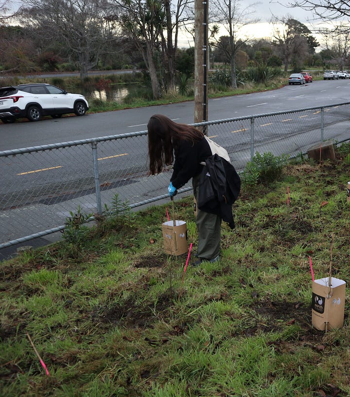 Left, a wide sealed path beside a river under a grey sky. Right: a woman planting a tree beside a road and a river.