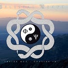 Two Worlds (Conjugated in Unison like Yin and Yang)! One Breath & bidirectional Causality