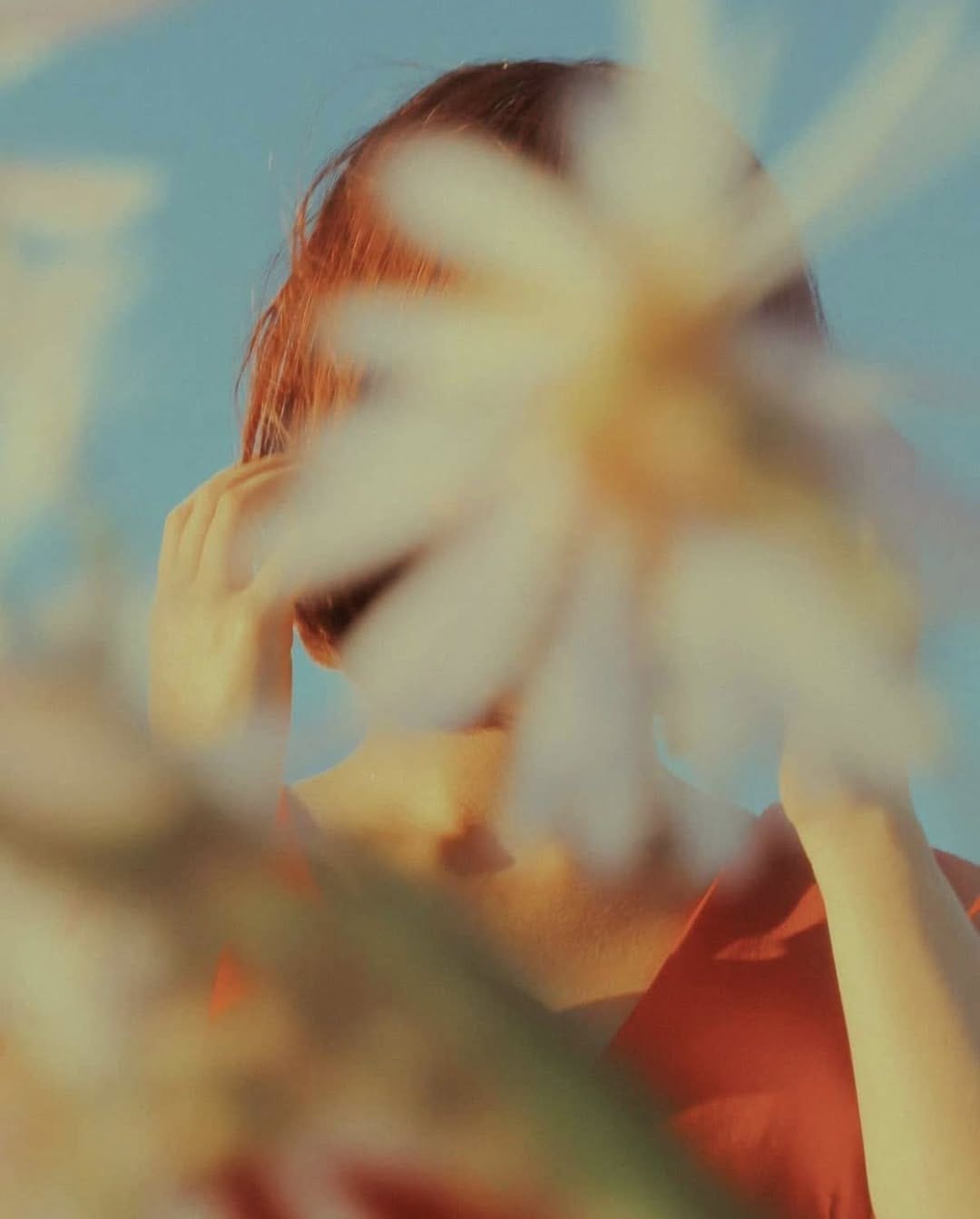 May be an image of flower May be an image of flower