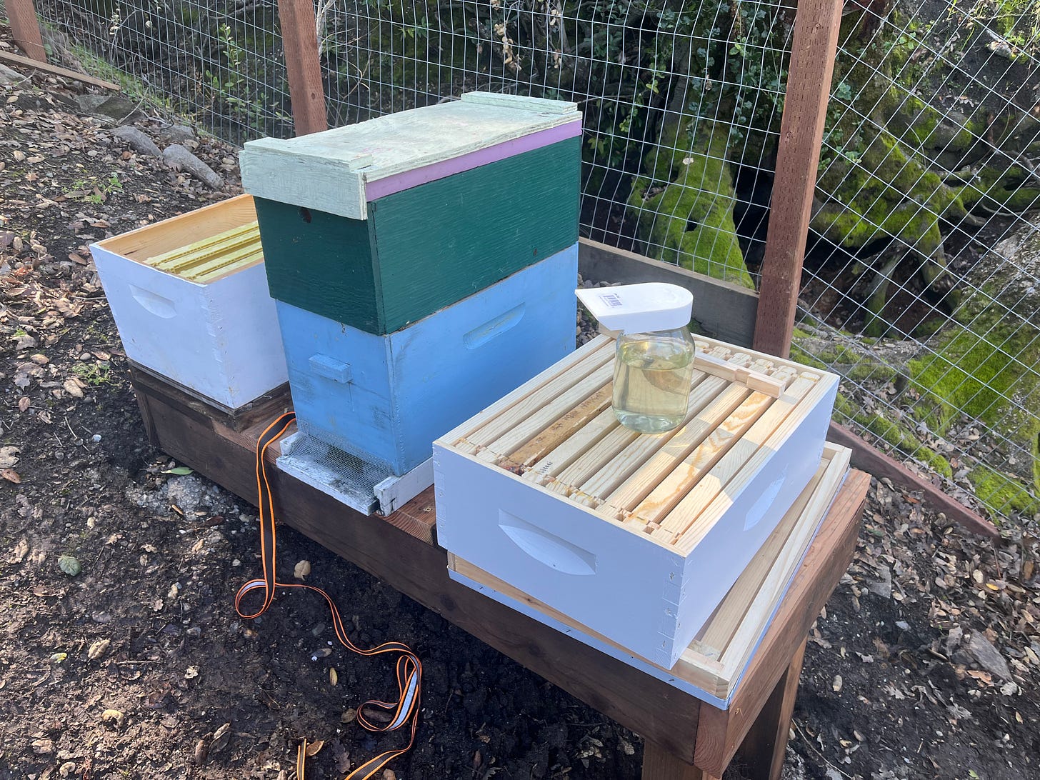 Wooden boxes hold hives.
