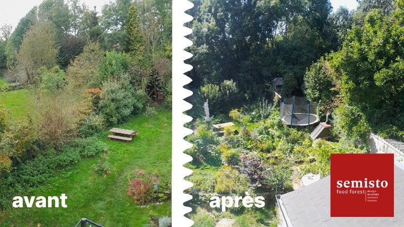 (photo avant-après d'un jardin transformé)