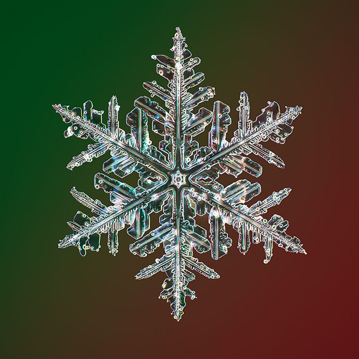 Photographer captures the highest resolution snowflake photos in the world: Digital Photography Review Photographer captures the highest resolution snowflake photos in the world: Digital Photography Review