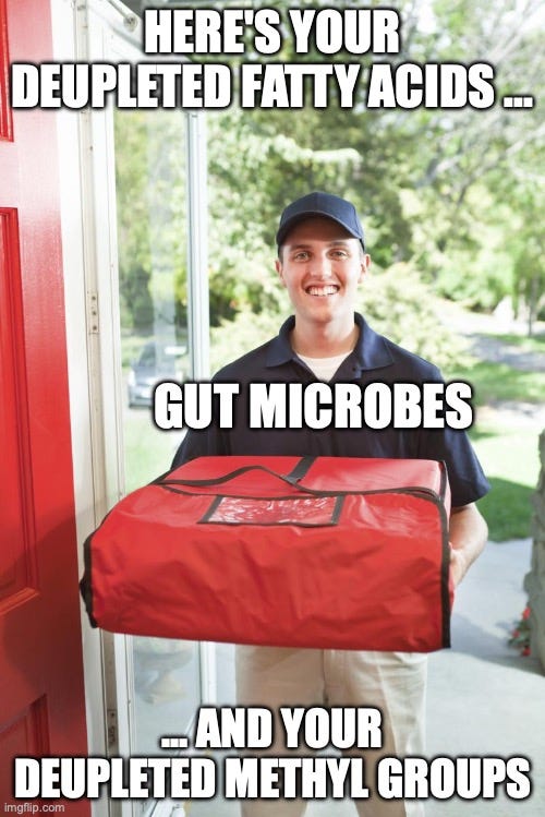 The fascinating link between deuterium, cancer, gut microbes, and ...