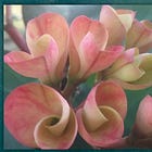 Presence and Listening