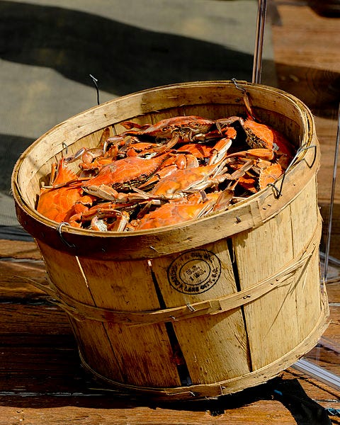 File:Chesapeake Bay's Crab Population's Announcement.jpg File:Chesapeake Bay's Crab Population's Announcement.jpg
