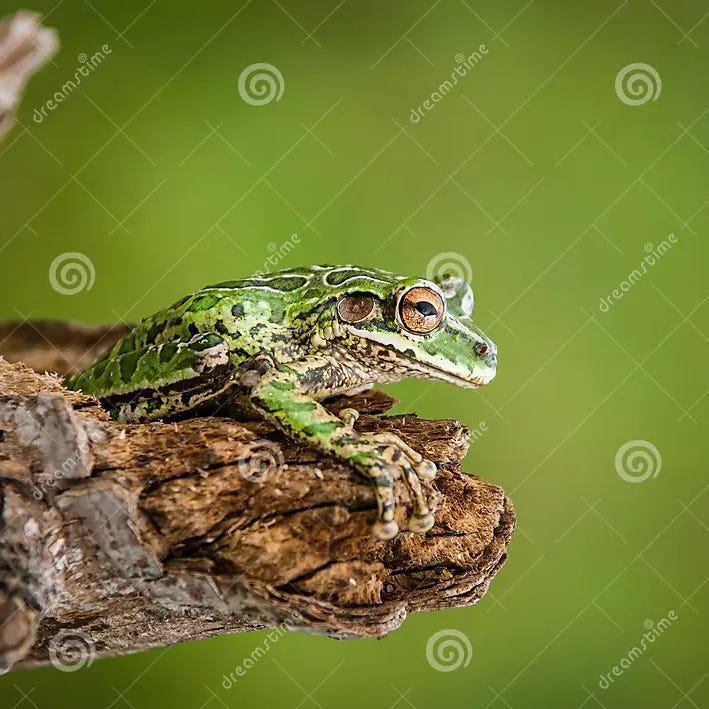 Artwork for Jason’s Substack about targeted individuals/gang stalking