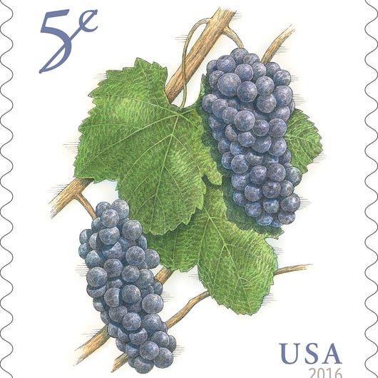 Pinot Noir Stamp.