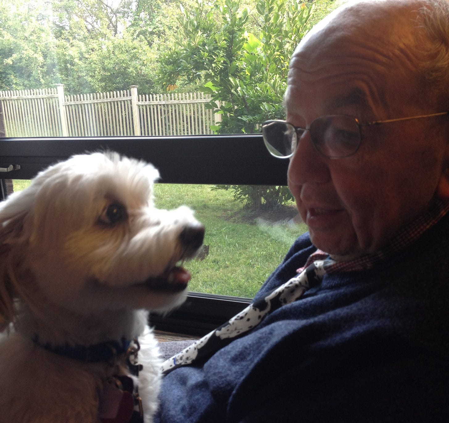 Author's elderly father with a young white Havanese, appearing to have a conversation