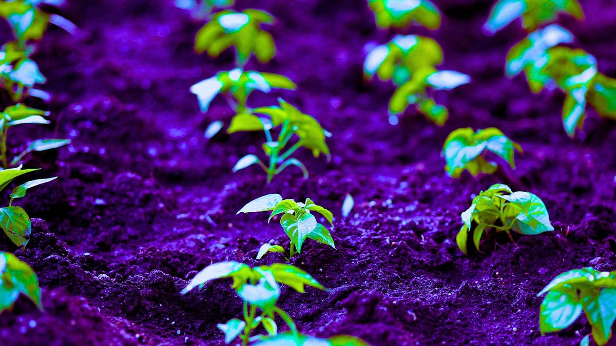 Moderna's Parent Company Now Spraying RNA Into Your Food