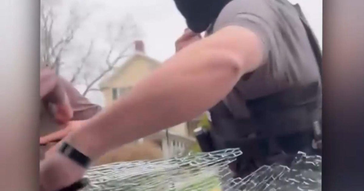 ICE agents seen smashing mother's car window before taking her into custody