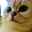 Jyl Brewer's avatar