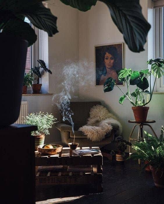 a moody dark room with a slow burning incense and a bunch of great indoor plant care. a moody dark room with a slow burning incense and a bunch of great indoor plant care.