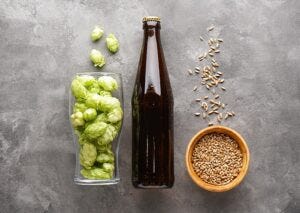 ingredients for beer