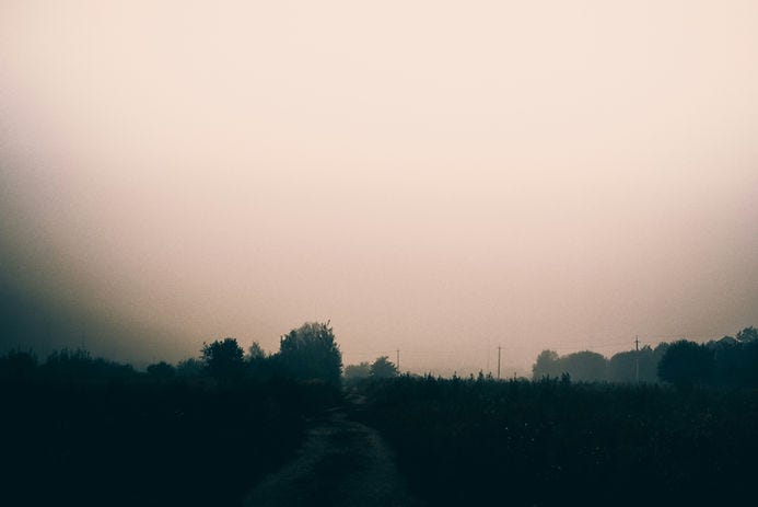 Foggy landscape with dark silhouette of trees and a dirt path leading into the distance. Pale pink sky sets a calm, eerie mood.