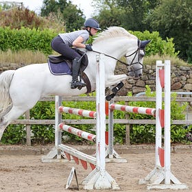 Training Show action at Connell Hill