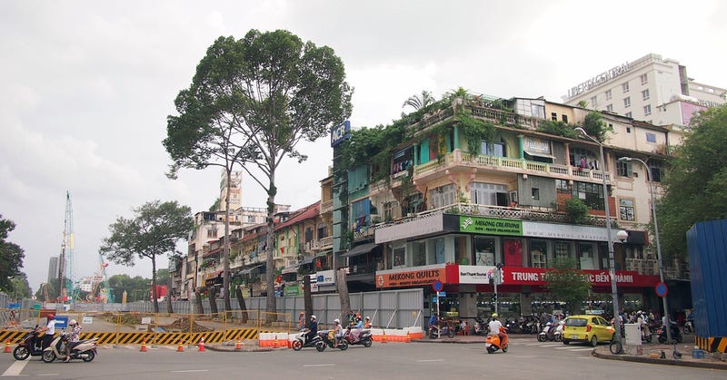 Le Loi tree cutting