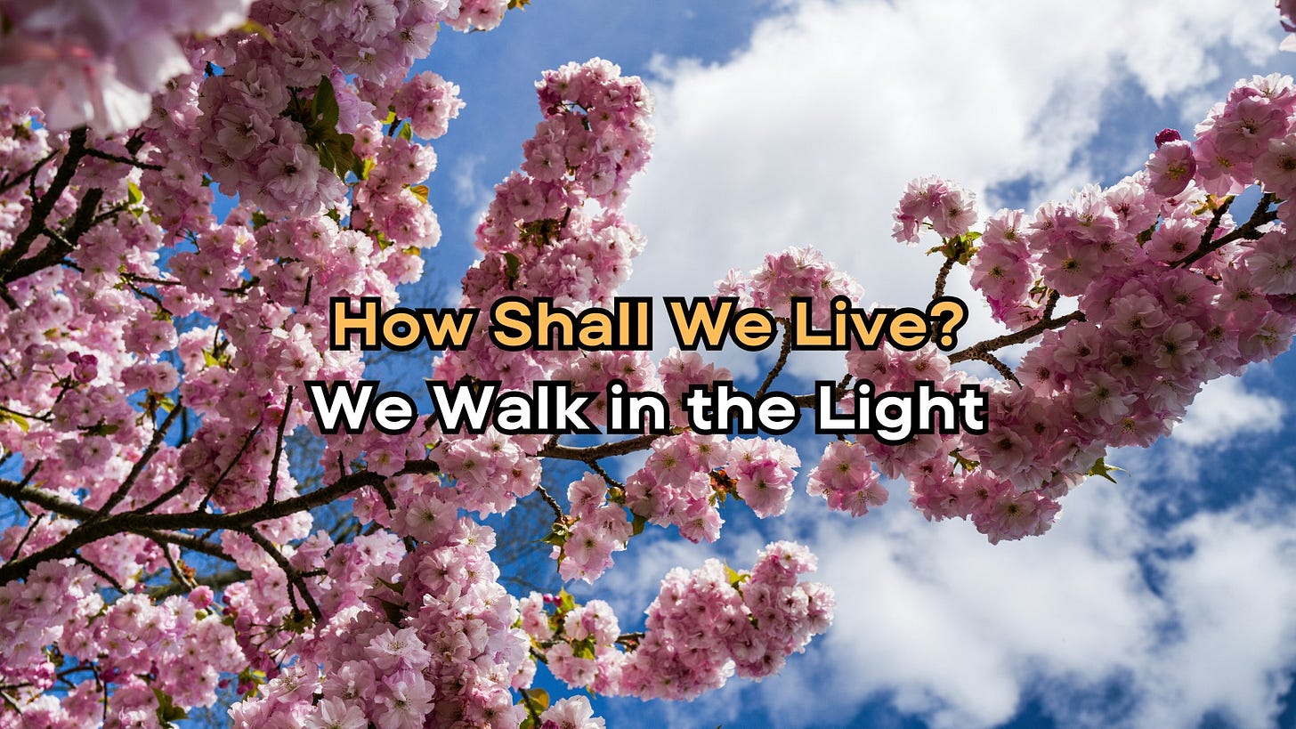 Image of pink flowers blooming on the branches of a cherry tree against a blue sky and white clouds in the background. It includes the text: "How Shall We Live? We Walk in the Light"