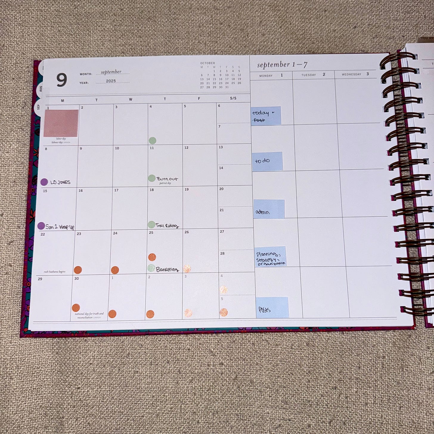 View of the left side of my planner, which shows the monthly view and the first half of the week view in blocks
