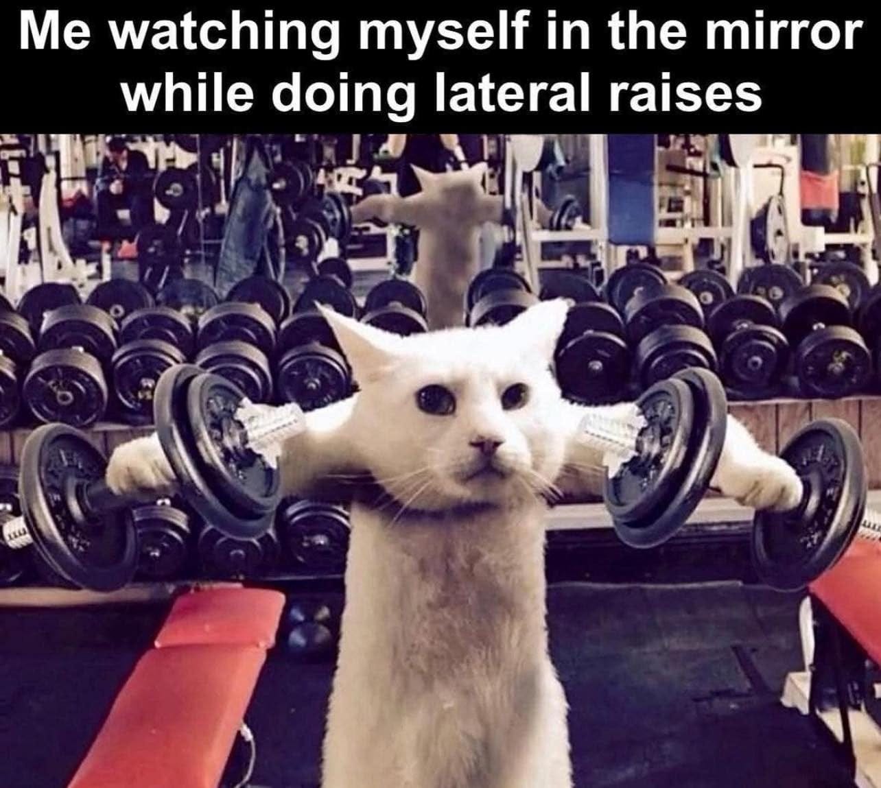 30 Funny Gym Memes That'll Hit You Harder Than Leg Day