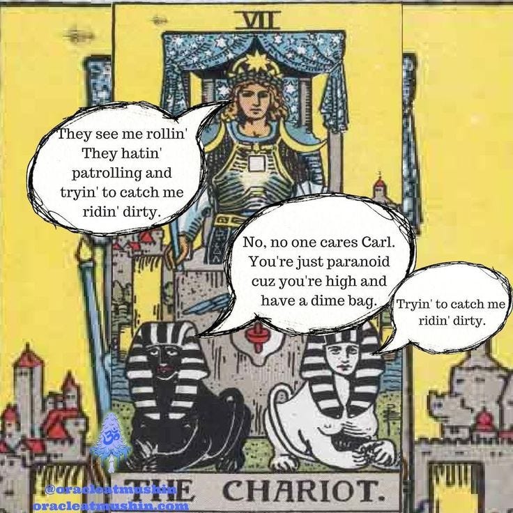 Pin on Tarot Memes
