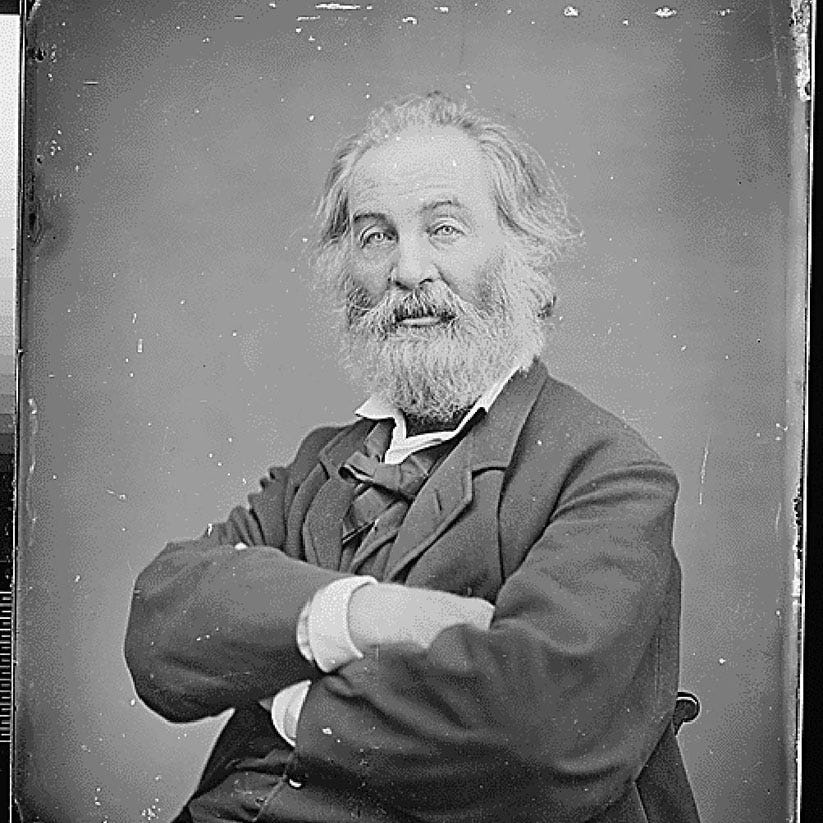 The Sunshine Patriot