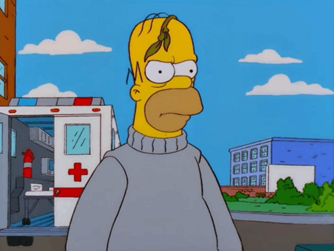 Image tagged with the simpsons, gif, homer simpson – @excitementshewrote on  Tumblr