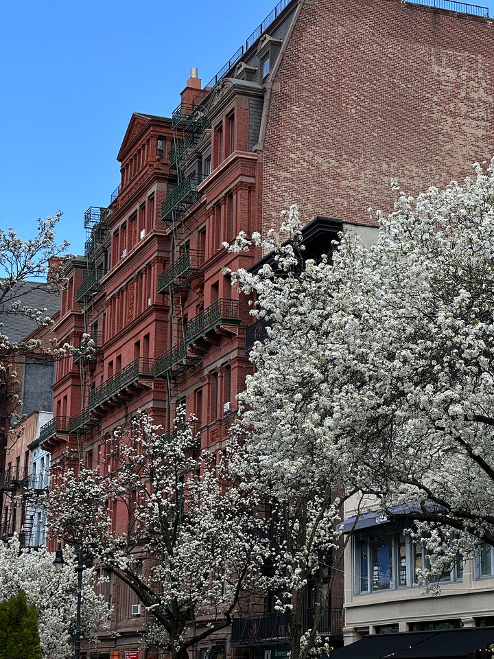 spring in Brooklyn