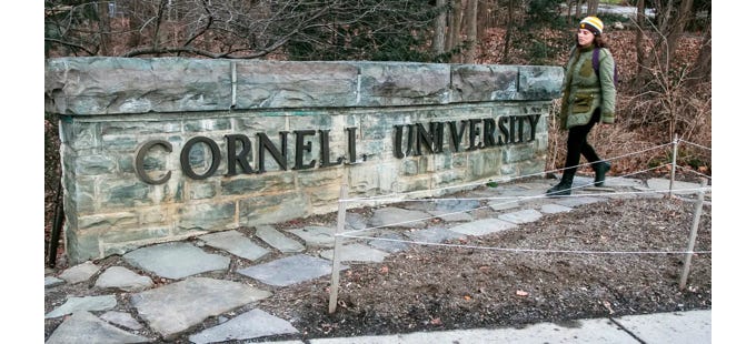 image 12.png image 12.png