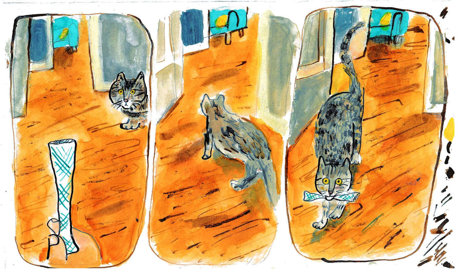 three illustrated panels of a cat fetching by Beth Spencer