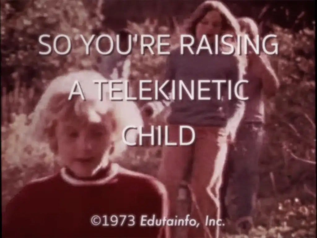 Telekinesis: Ideas In Our Reenchantment & Rectification