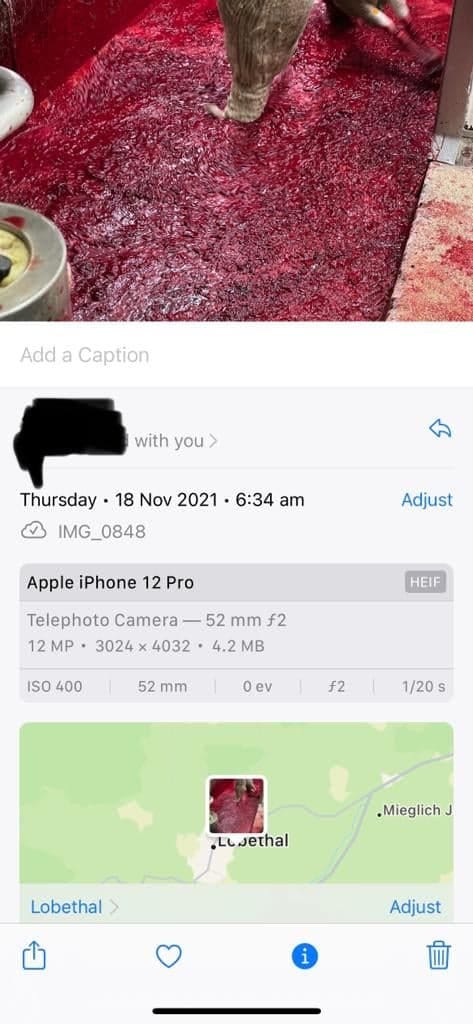 No description available.