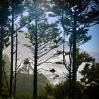 Oregon Coast, Part 2