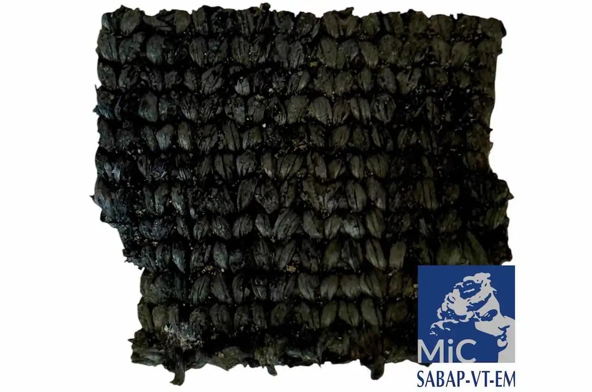 **Textile recovered from the Gran Carro archaeological site. Credit: Soprintendenza Archeologia, Belle Arti e Paesaggio per l’Etruria Meridionale** **Textile recovered from the Gran Carro archaeological site. Credit: Soprintendenza Archeologia, Belle Arti e Paesaggio per l’Etruria Meridionale**