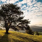 On Sustainability