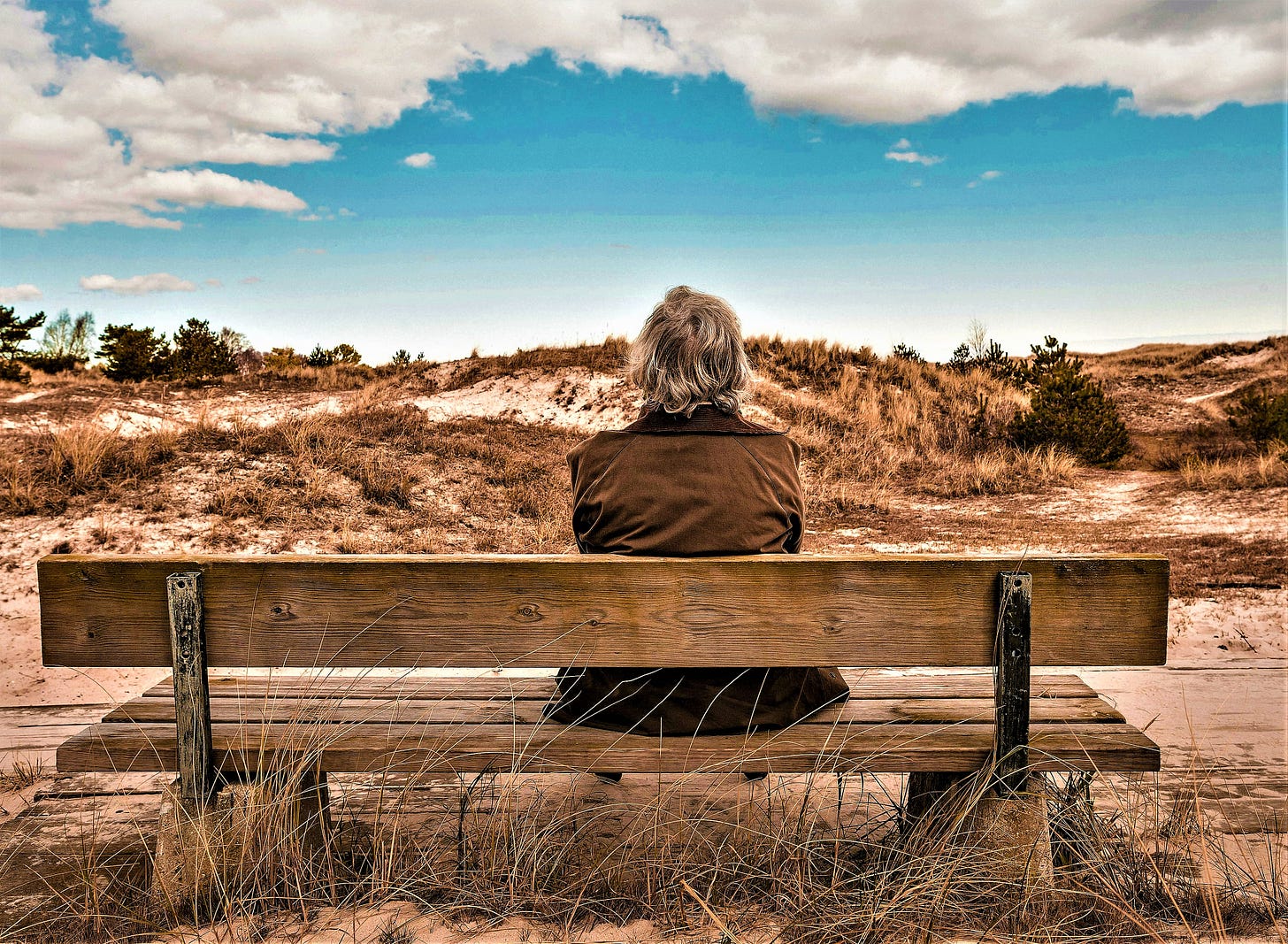 rear view of person sitting on wooden bench looking out over desert landscape and cloudy sky rear view of person sitting on wooden bench looking out over desert landscape and cloudy sky