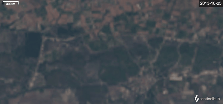 How Suzuki decisions will impact Indian EVs