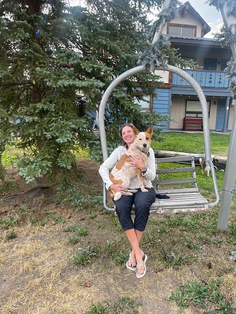 a cattle dog cuddling with her human and a cat