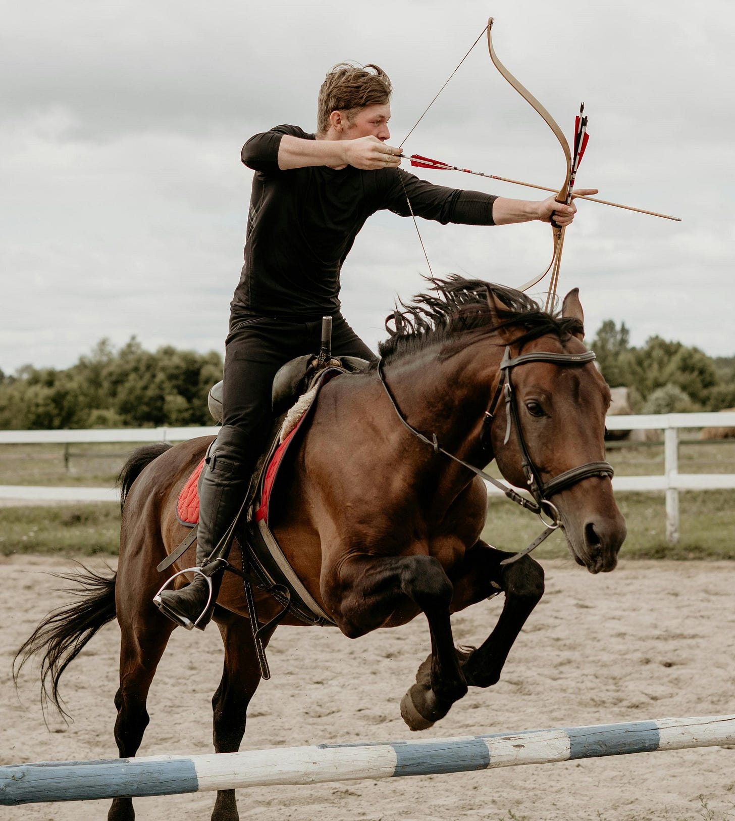 Horse, arrow, and rider displaying steadiness and self-regulation. Horse, arrow, and rider displaying steadiness and self-regulation.