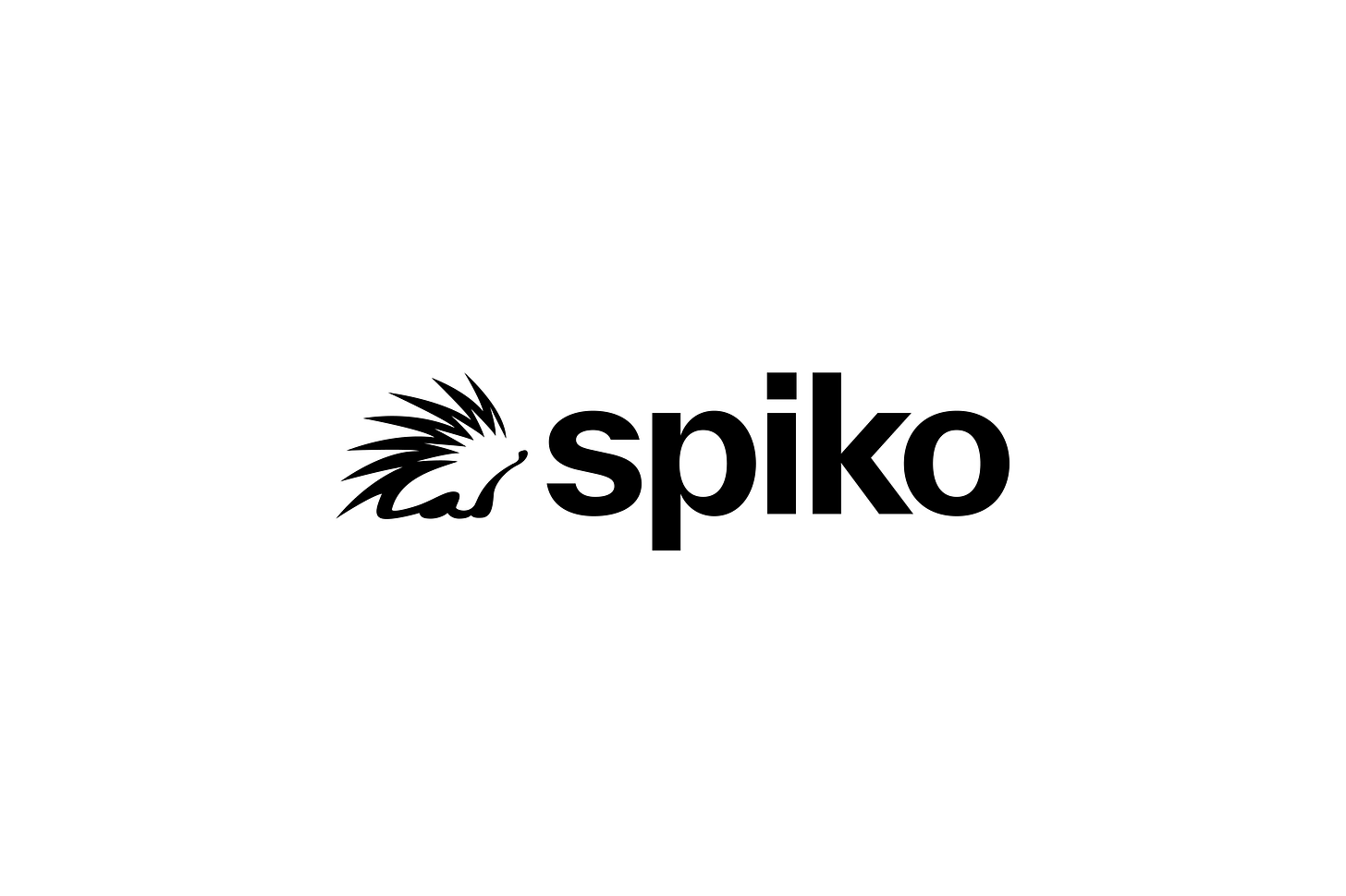 Spiko lève 18,5 millions d'euros pour révolutionner la gestion de  trésorerie en Europe - Bpifrance | Presse